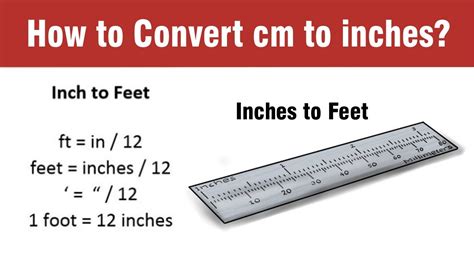 1.60m in feet|1m60 in feet and inches.